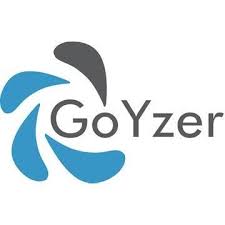 GoLyzer